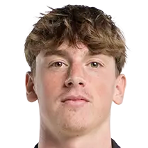 埃贝·德弗莱明克头像