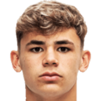 莫斯卡多·加布里埃尔头像