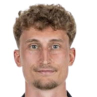 帕特里克·奥斯特豪奇头像