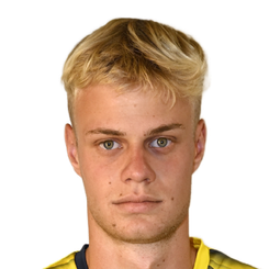 丹尼尔·库巴特头像