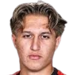 伊斯特万·佩卡尔头像