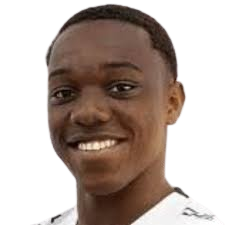 艾德森·埃德温·卡斯蒂略·阿约维头像