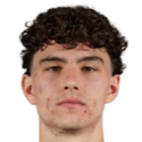 多米尼克·尼桑季奇头像