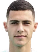 迭戈·恩里克头像