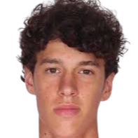 彼得·帕夫利切维奇头像