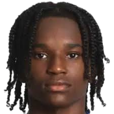 利奥·卡多佐头像