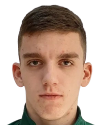 马丁·维尔多利亚克头像