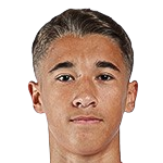 大卫·费尔南德斯头像