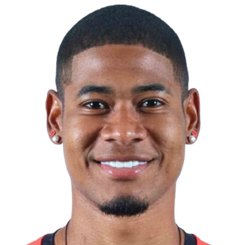 迭戈·阿韦迪亚头像