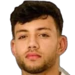 纳吉·费贾尼头像