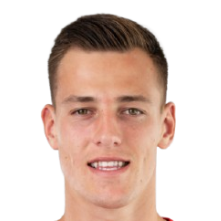 拉德克·维特克头像