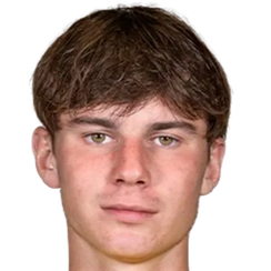 伊格纳特·普什库察头像