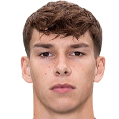 布伦特·史蒂文斯头像