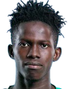 拉明·贾茹头像