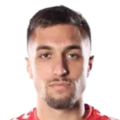 米兰·阿莱克西奇头像