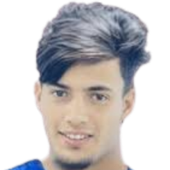 哈姆扎里米头像