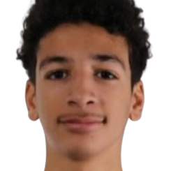 亚尼斯·哈布什头像