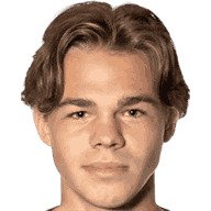 罗曼·萨连科头像