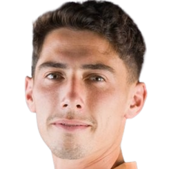 罗伯托·唐塞尔头像