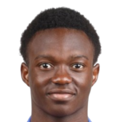 陶菲克·赛杜头像