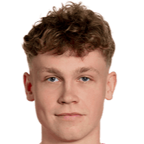 马丁·胡尔达尔头像