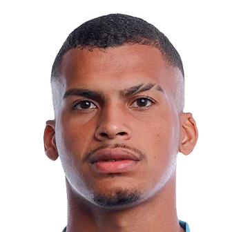 万德森·卡洛斯·费雷拉·多斯桑托斯头像