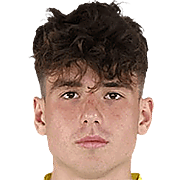 伊昂·维梅森头像