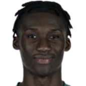 阿卜杜勒·卡里姆·库利巴利头像