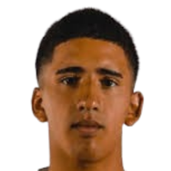 巴斯蒂安·瓦尔迪兹头像