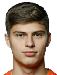 沃伊切赫·萨弗兰内克头像