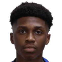 苏丹·萨阿迪头像