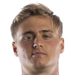 内森·梅塞尔头像