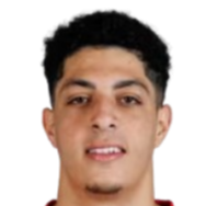 霍萨姆·埃萨达克头像