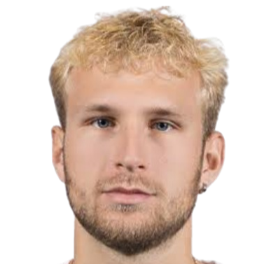 丹尼尔·沙姆金头像