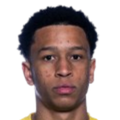 丹尼尔·巴希头像