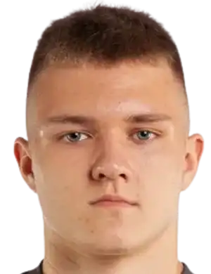 格里戈里·博罗维克头像