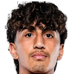 罗德里格斯头像