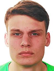 弗拉迪斯拉夫·泽尔纳耶夫头像