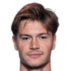 亨里克·法尔切纳头像