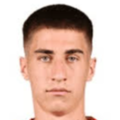 米哈伊洛·泰尔日奇头像