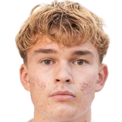 古斯塔夫·霍伊比约头像