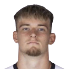 马泰伊·利兹尼奇头像