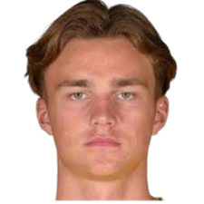 费尔南多·迪克斯头像