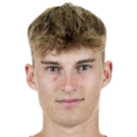 多米尼克·柯瑟头像