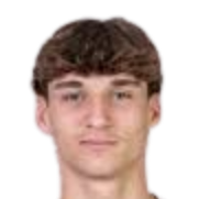 特里斯坦·肖普皮奇头像