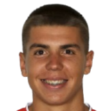 普拉尼科维奇头像