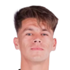 哈维尔·多明格斯头像