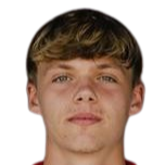 拉斐尔 费尔丁格头像