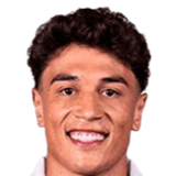 维托·卡瓦略头像