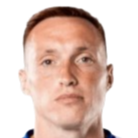 维德兰·朱戈维奇头像